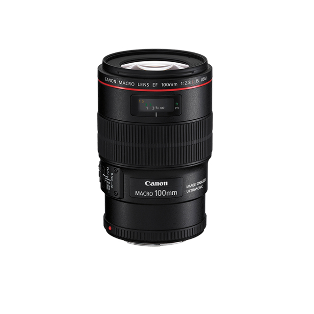 lens rentals in bangalore
